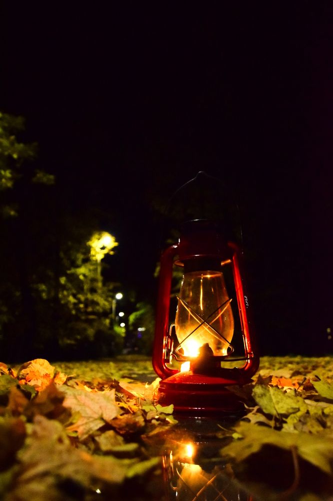 Photograph by Ольга Рыкова