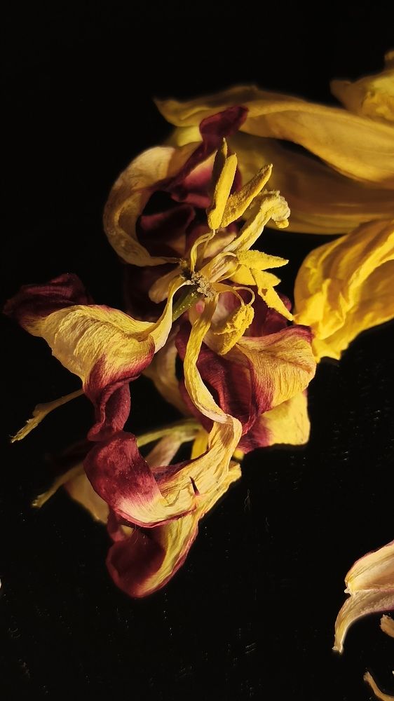 Photograph by Анна Петухова