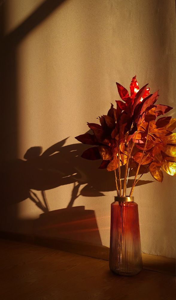 Photograph by Елена Ефимова