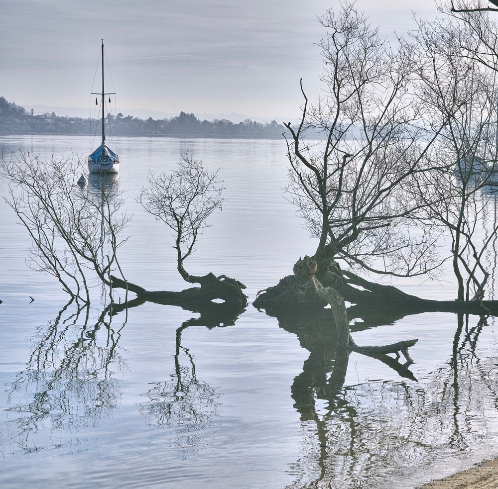 Photograph by Kuzmichev Alexey