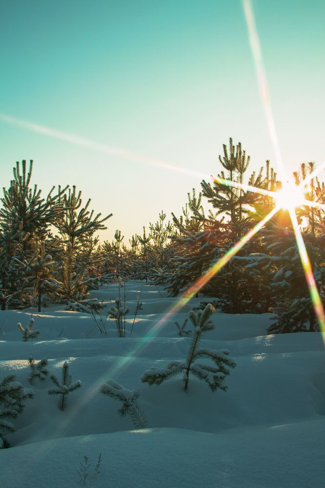 Photograph by Ангелина Карелина