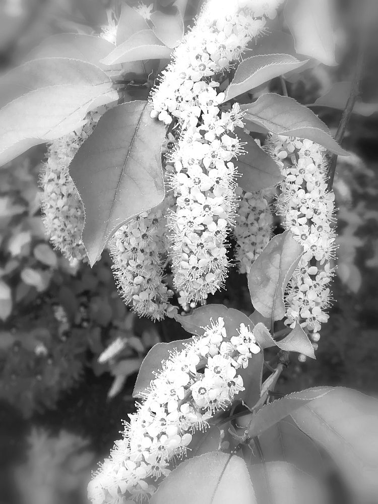 Photograph by Мария