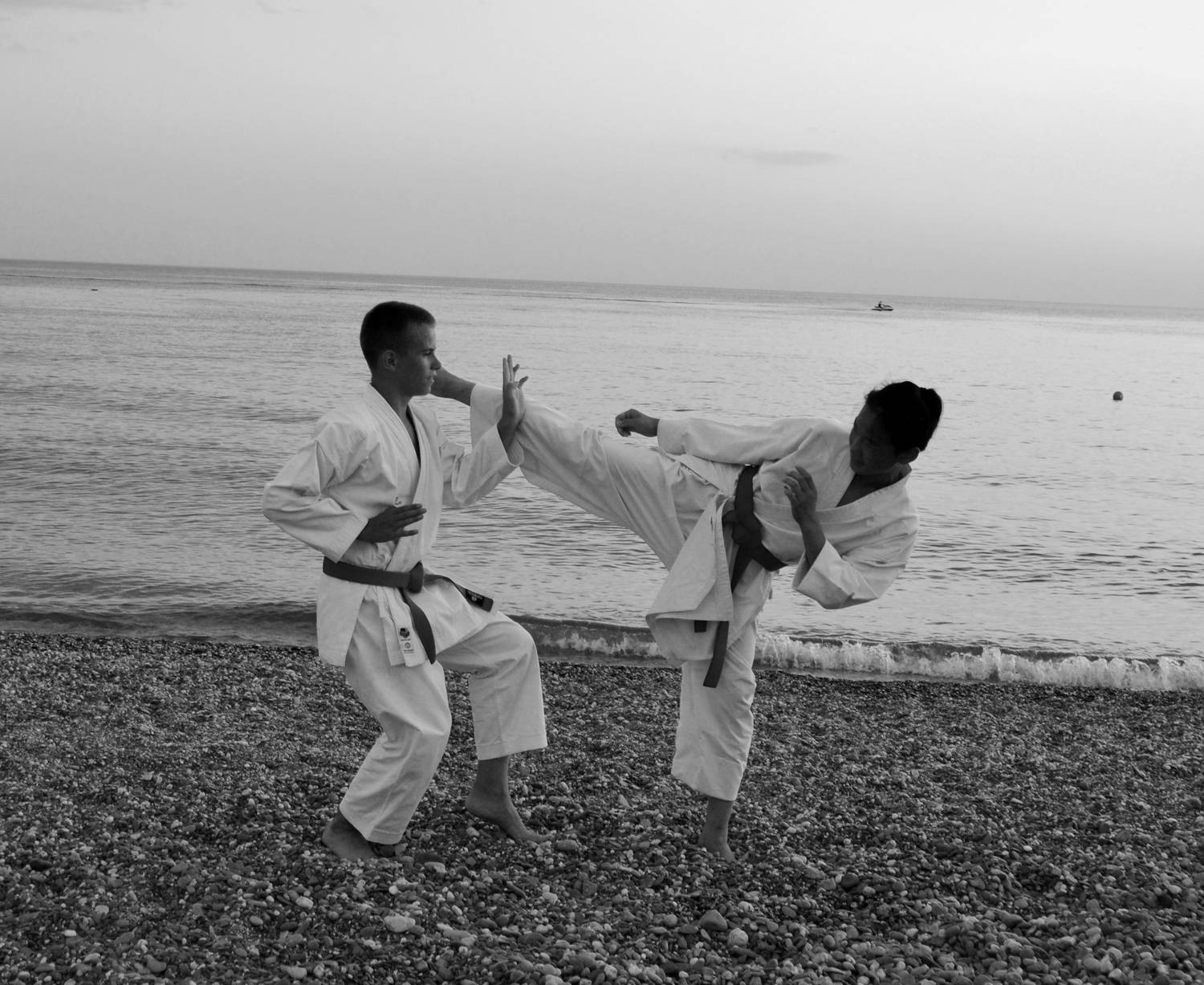 Photo #8626434