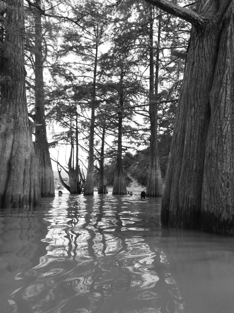 Photograph by Мария