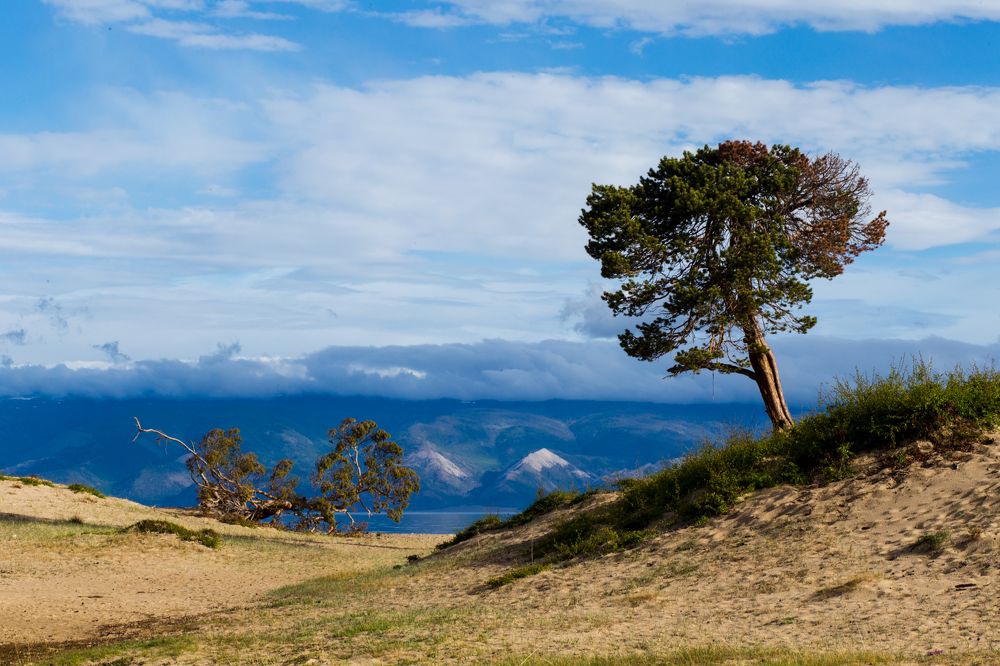 Фотография автора Оркина Ксения
