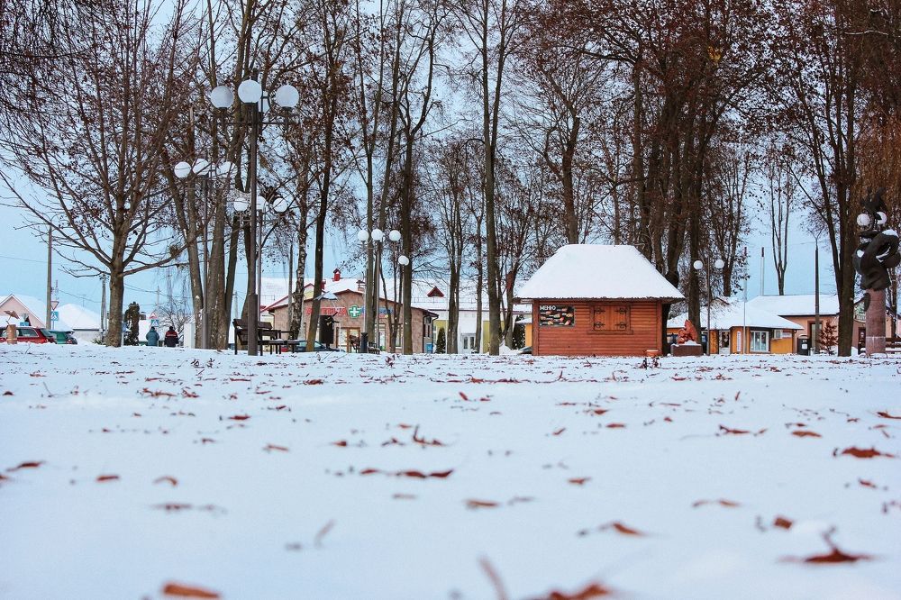 Photograph by Liudmila Pilets