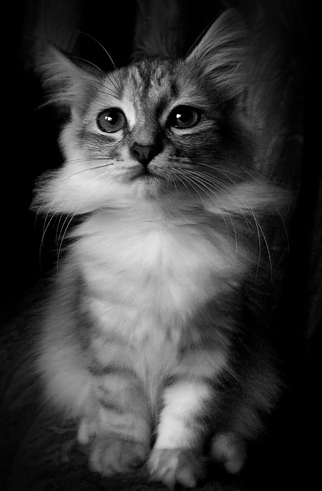 Photograph by Зоя Быкова