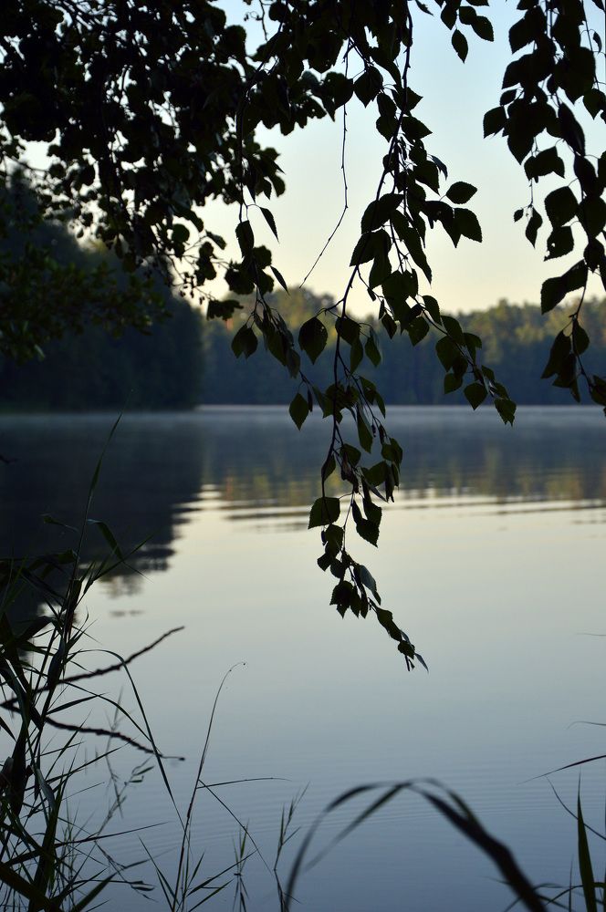 Photograph by Андрей Ушаков