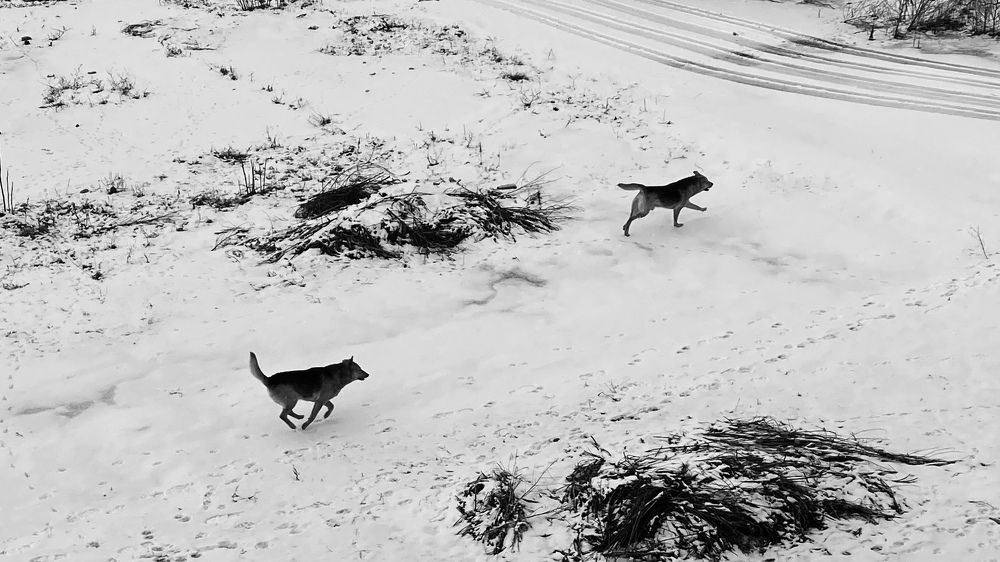 Photograph by Сергей Смирнов