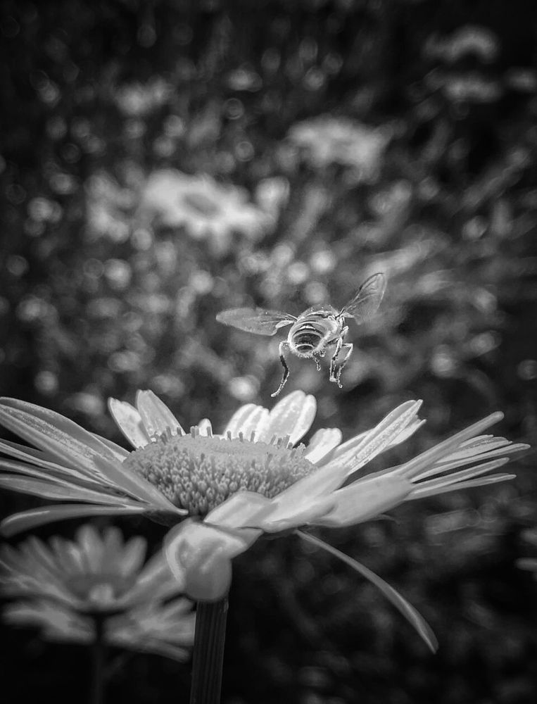 Photograph by Evgenia Privalova