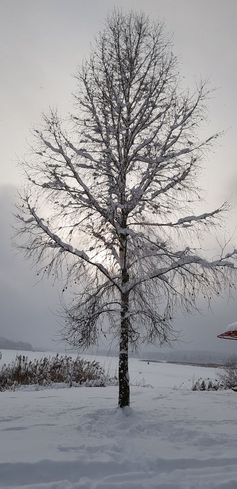 Photograph by Оксана Крылович