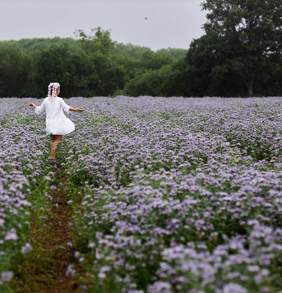 Прогулка в цветах