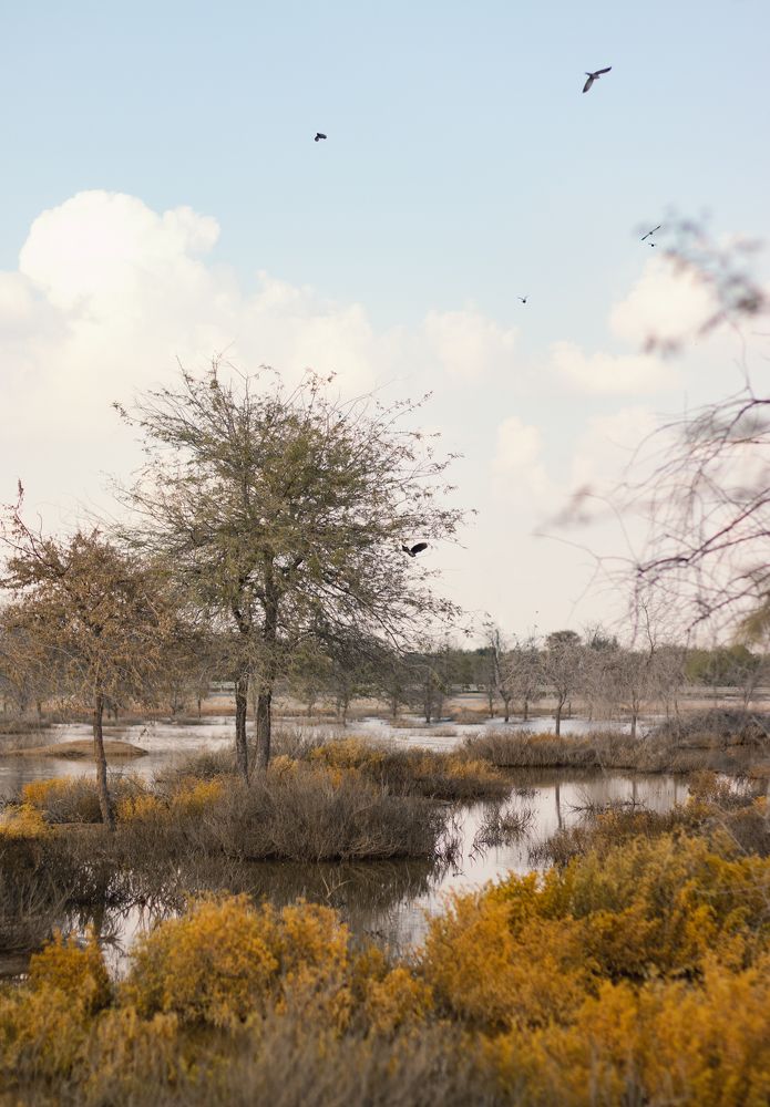 Photograph by Юлия Соболева