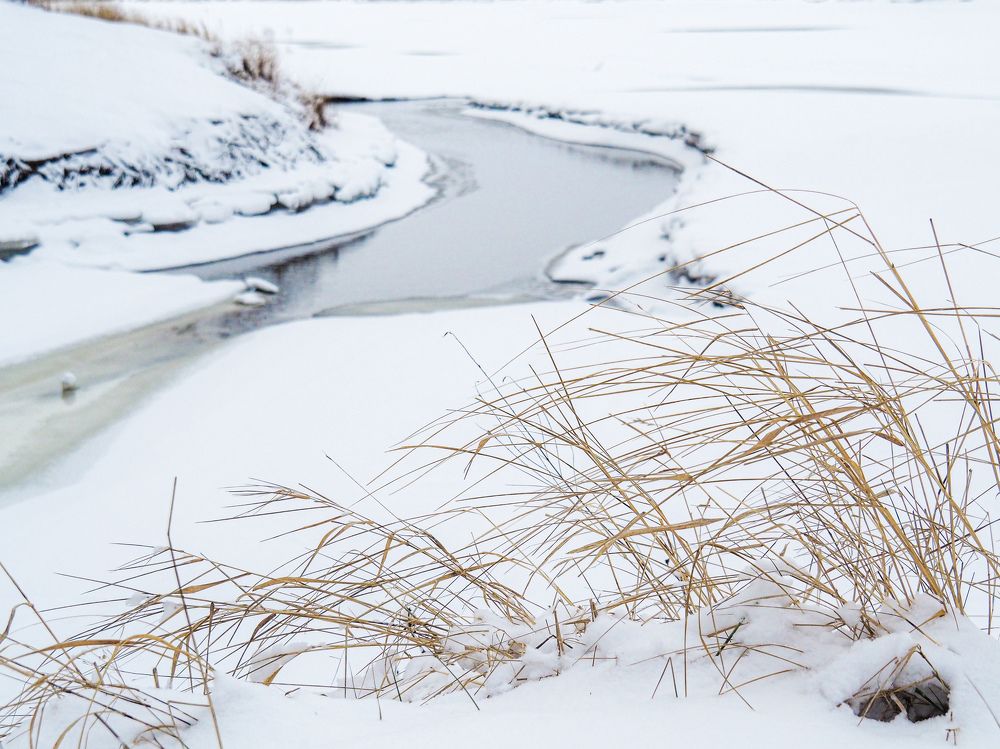 Photograph by Светлана Шибаршина