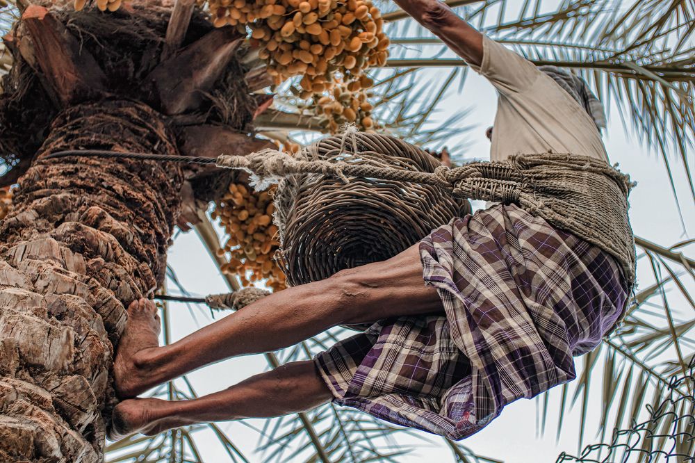 Photograph by Hassan Alawami