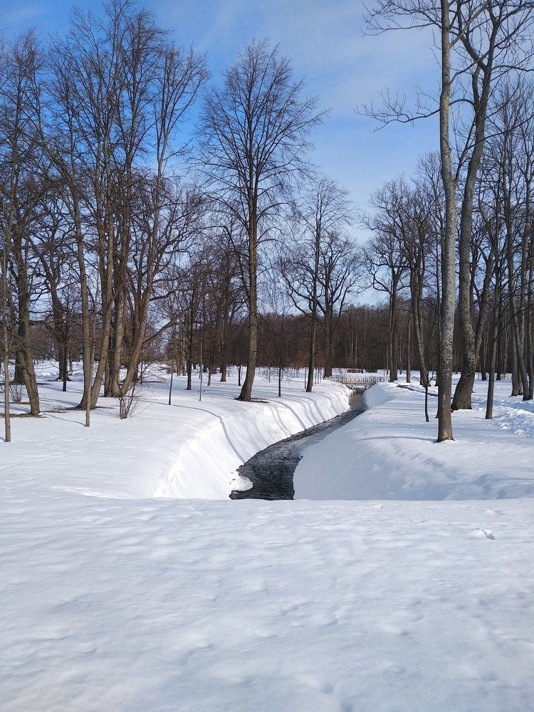 Photograph by Мария Федорова