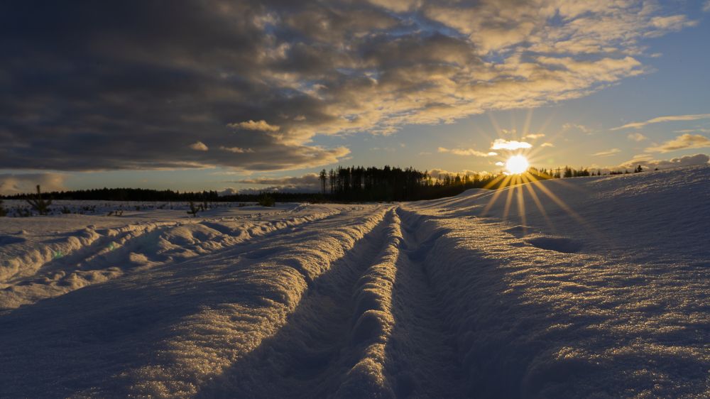 Photograph by Надежда Мытник