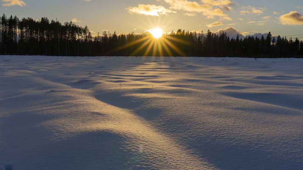 Photograph by Надежда Мытник