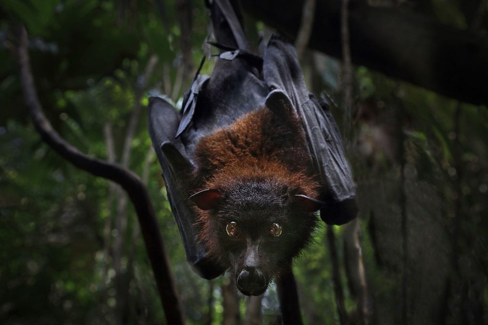 Photograph by Виктор Смирнов