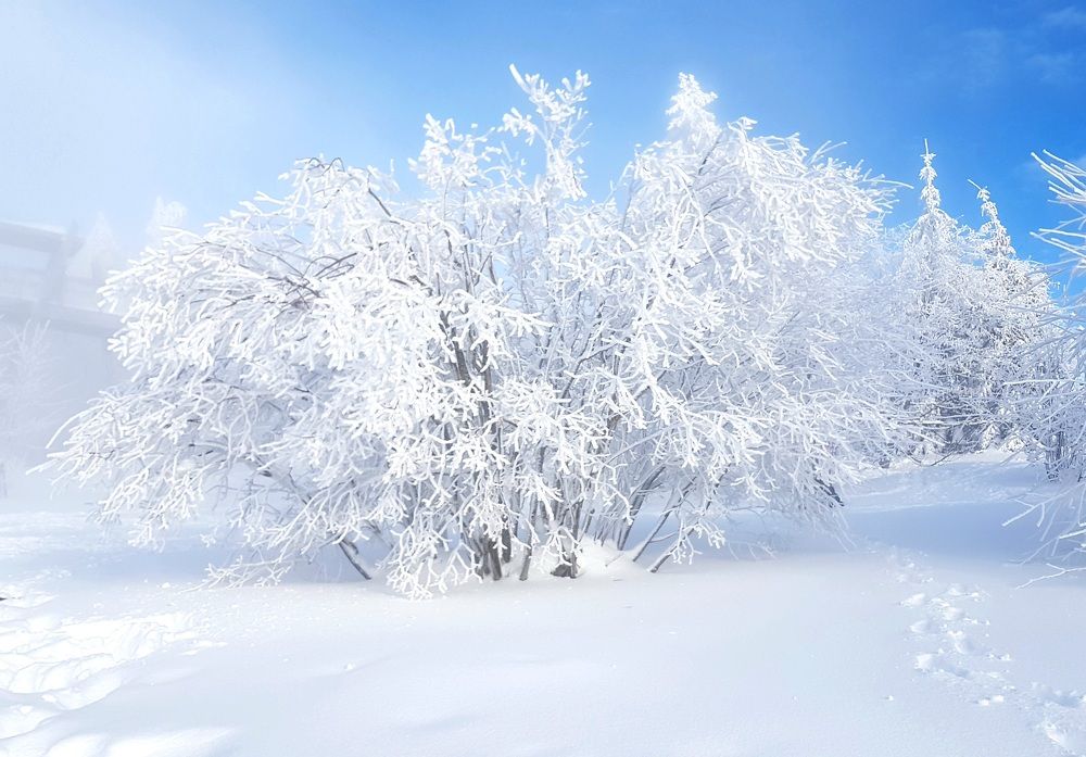 Фотография автора Kate Fontaine