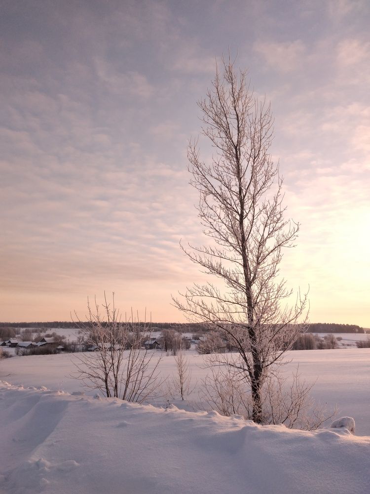 Photo #8627007