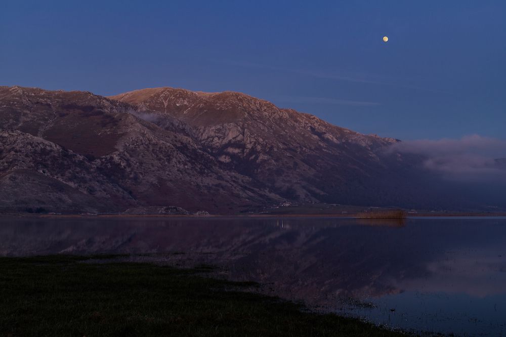 Photograph by Елизавета Калинина