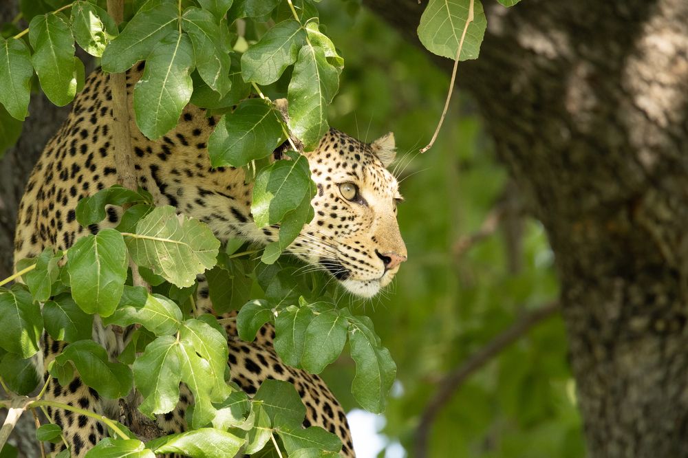 Photograph by Raquel Barao