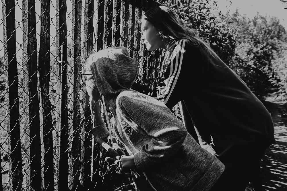 Интересное наблюдение