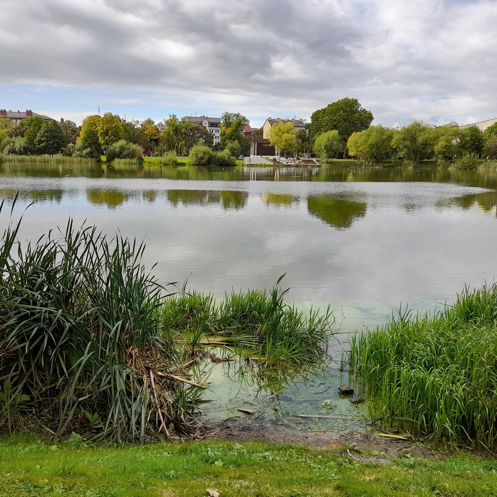 Photograph by Надежда Каравайцева