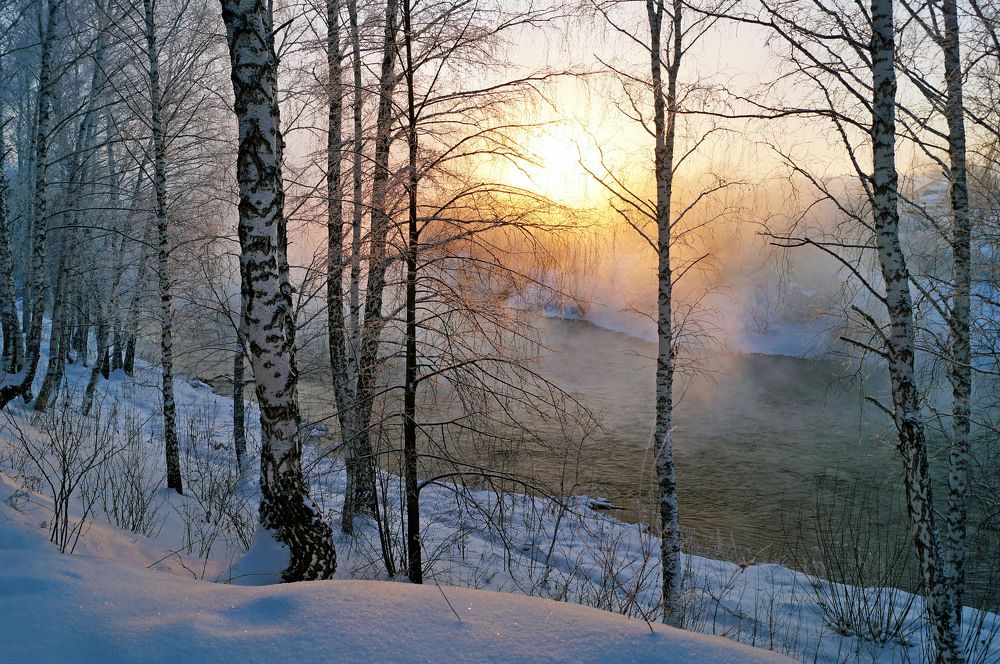 Photograph by Мишустина Татьяна