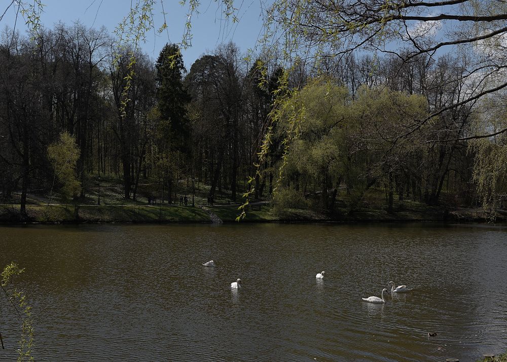 Photograph by Наталья Цуканова