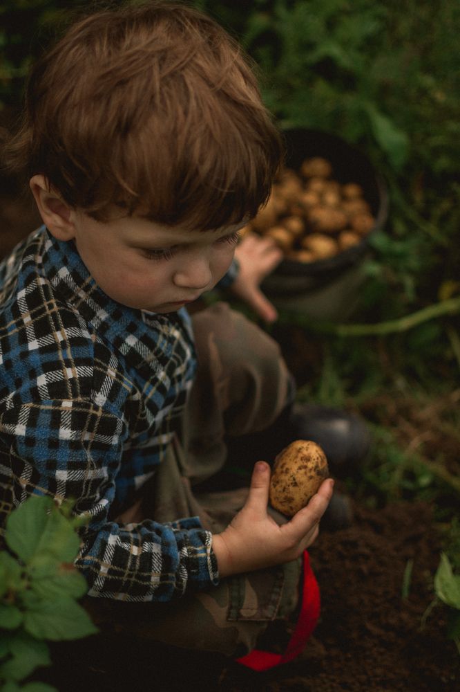 Photograph by Anastasia