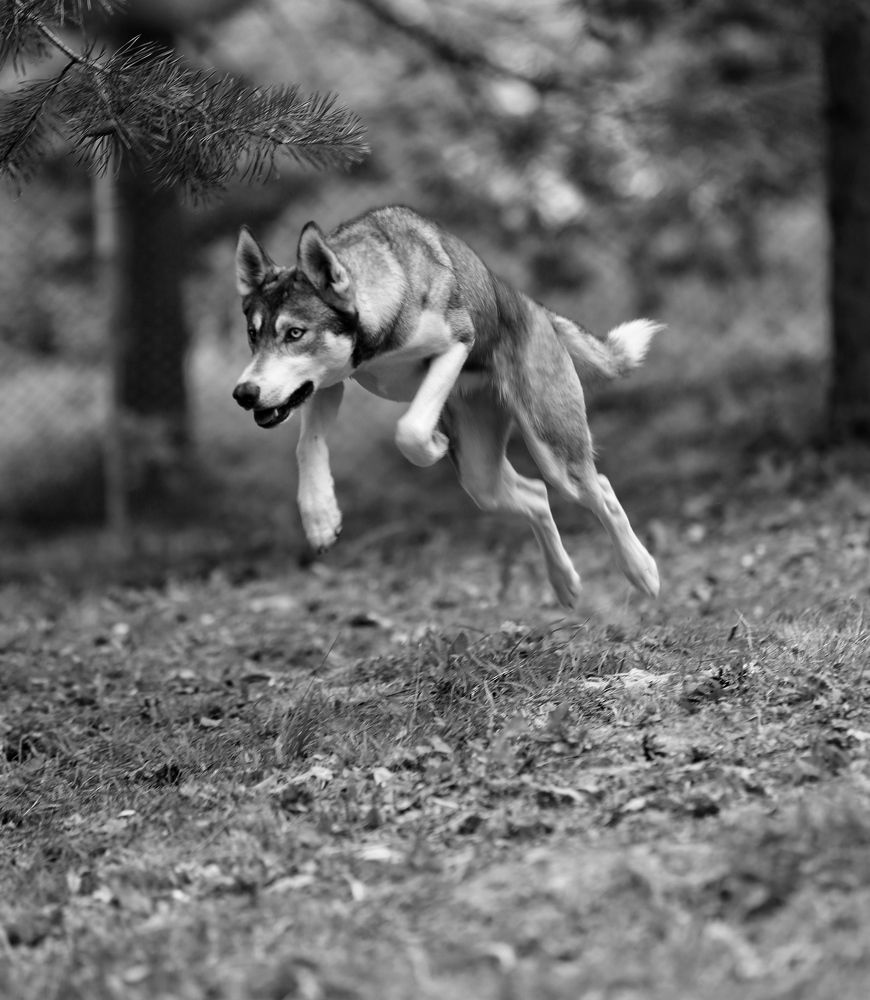 Photograph by Елена Одынец