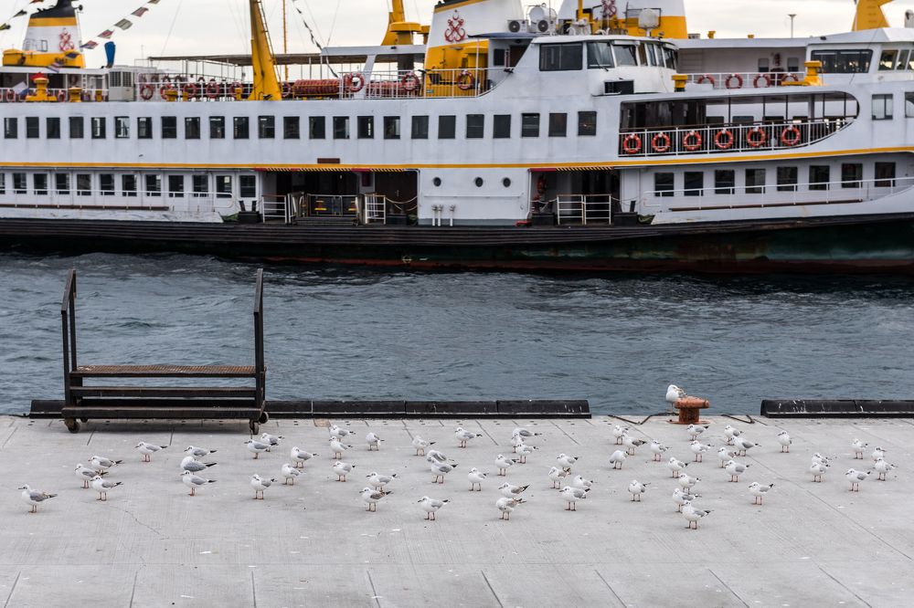 Photograph by Евгений Моляшов