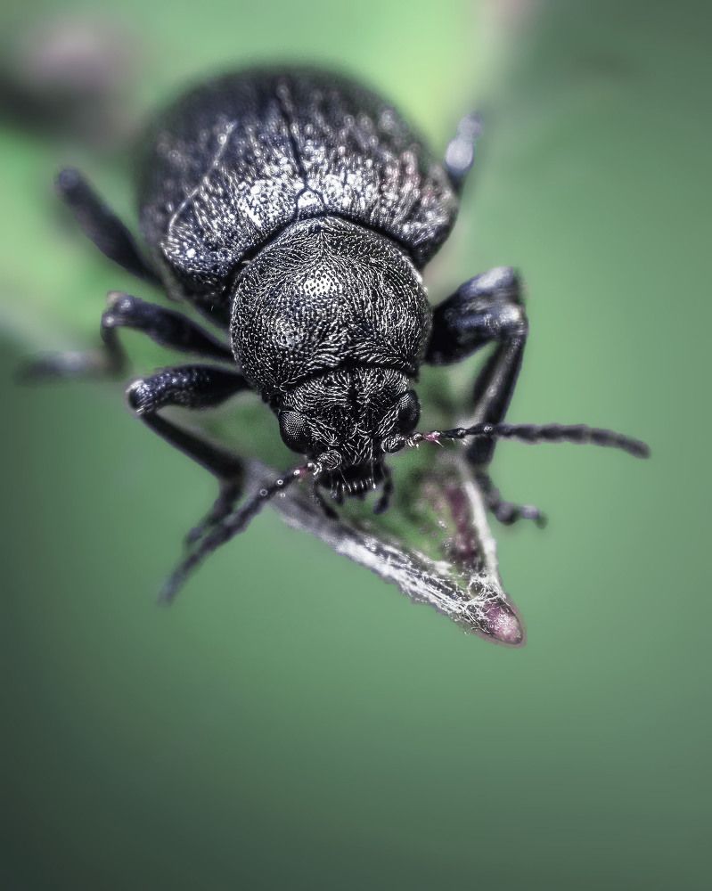 Photograph by Victor Stepanov