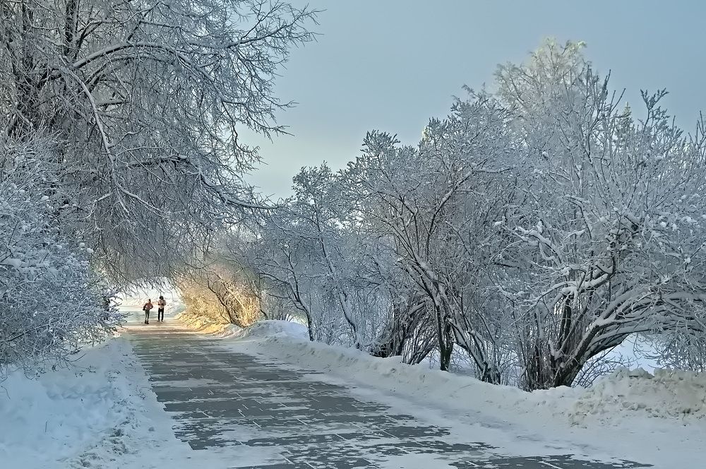 Photograph by Владимир Николаев