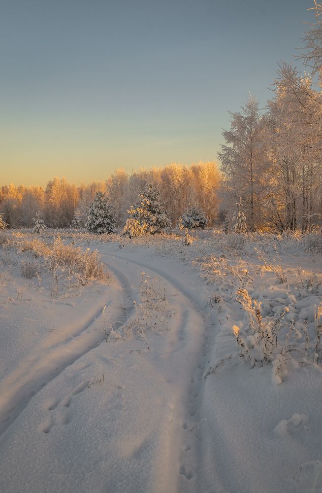 Фотография автора Шуплецов Алексей