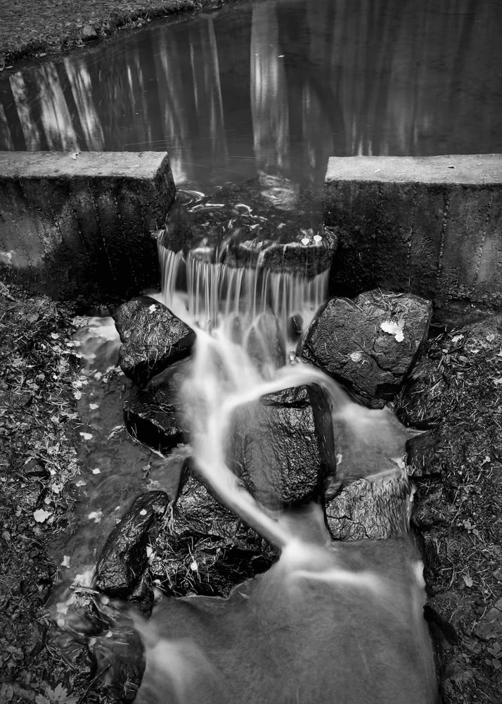 Photograph by Надежда Смирнова