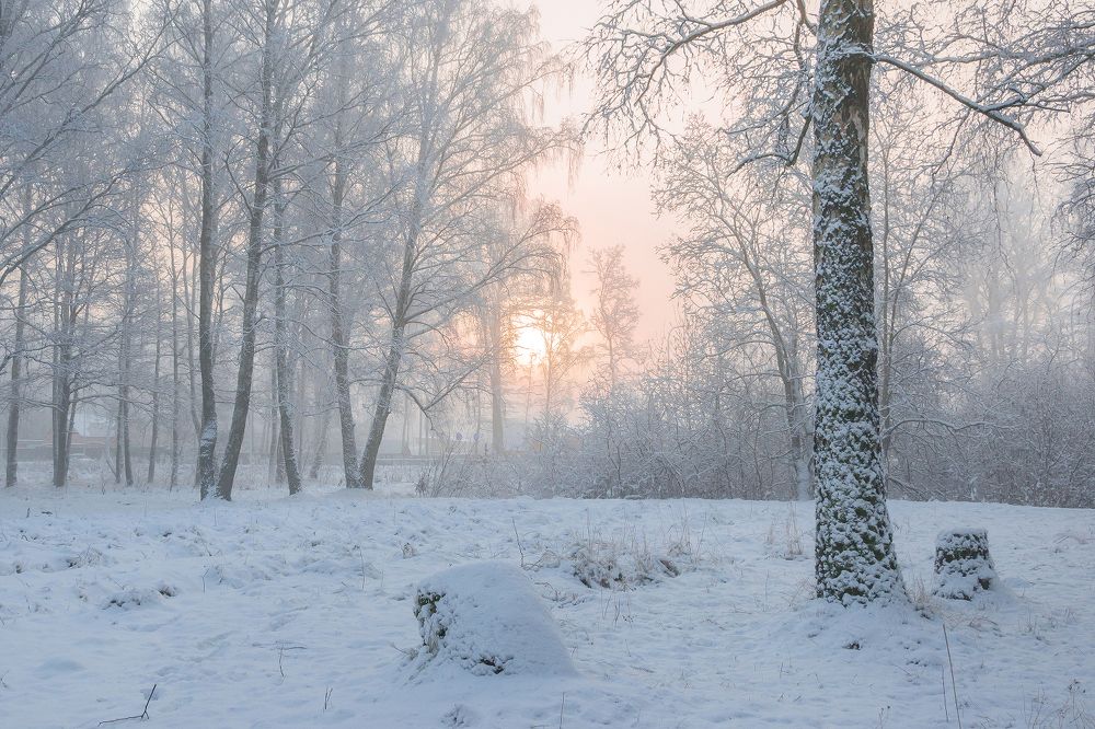 Жемчужные сети тумана