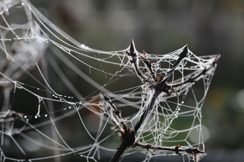 Photograph by Баринов Борис