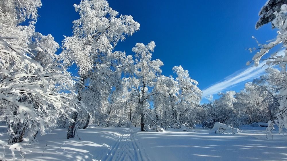 Photograph by Юлия Садовщикова