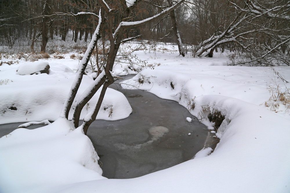 Photograph by Баринов Борис