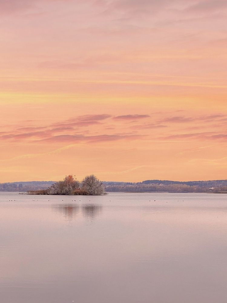 Photograph by Елена Башмакова