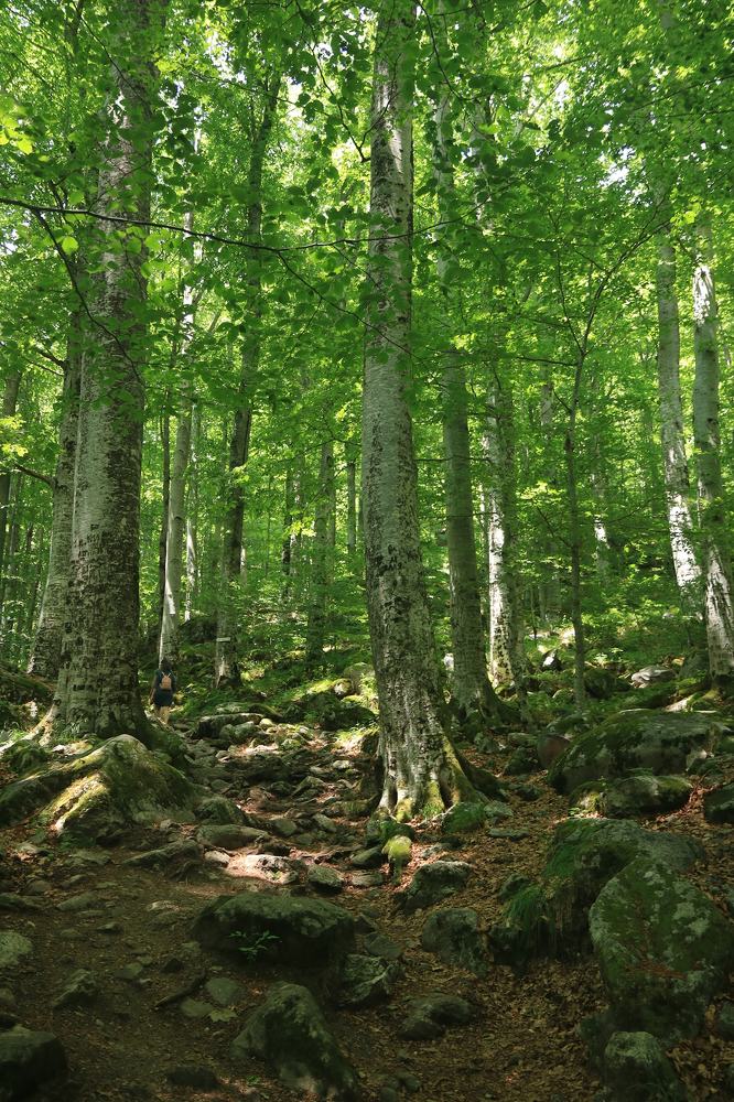 Photograph by Грета