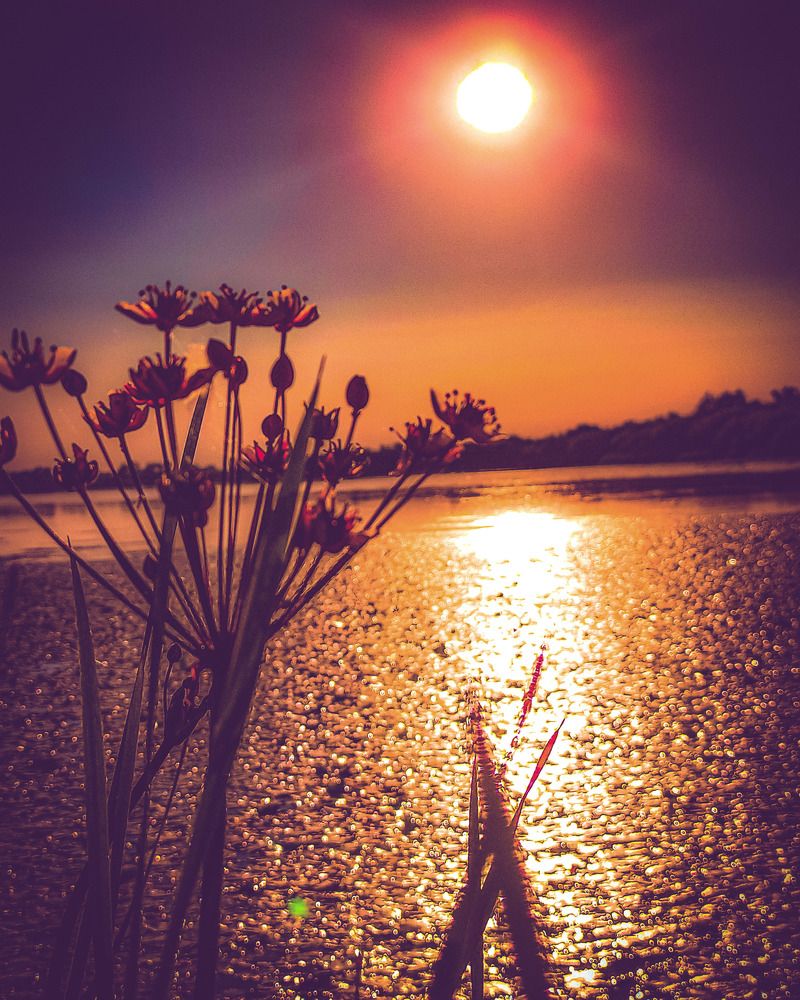 Photograph by Николай Яковлев