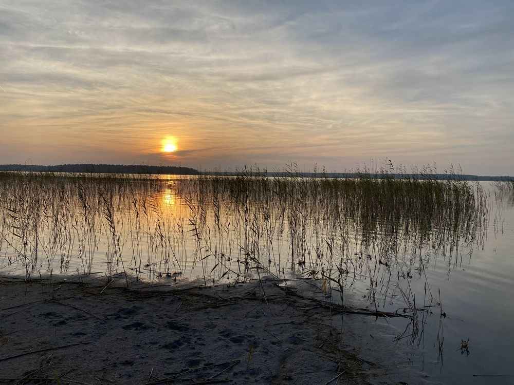 Photograph by Наташа Кинель