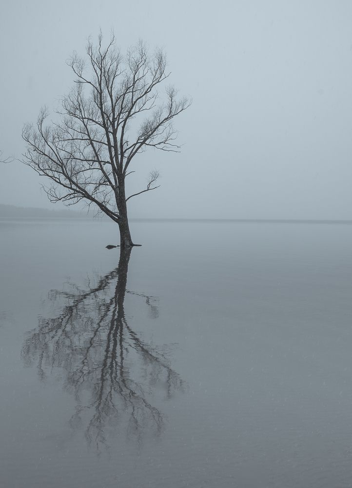 Photograph by Максимова Дария