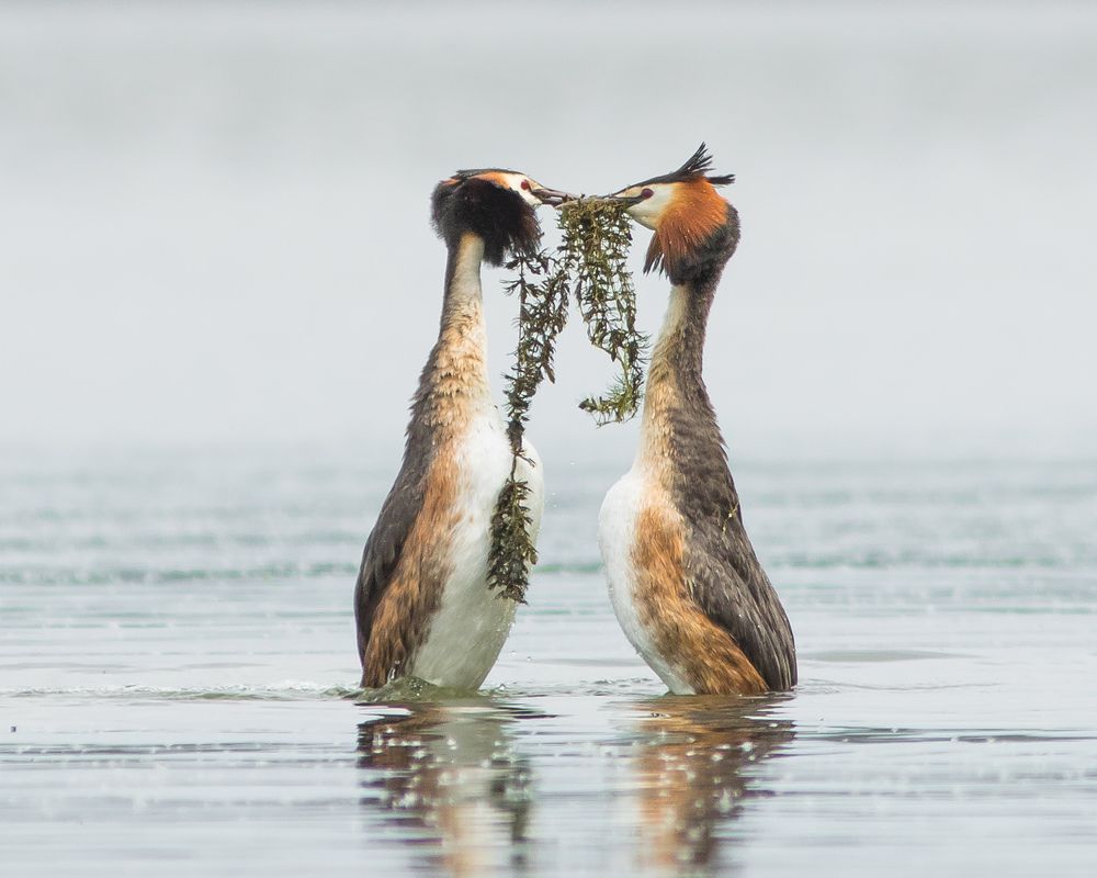Фотография автора Суслов Дмитрий