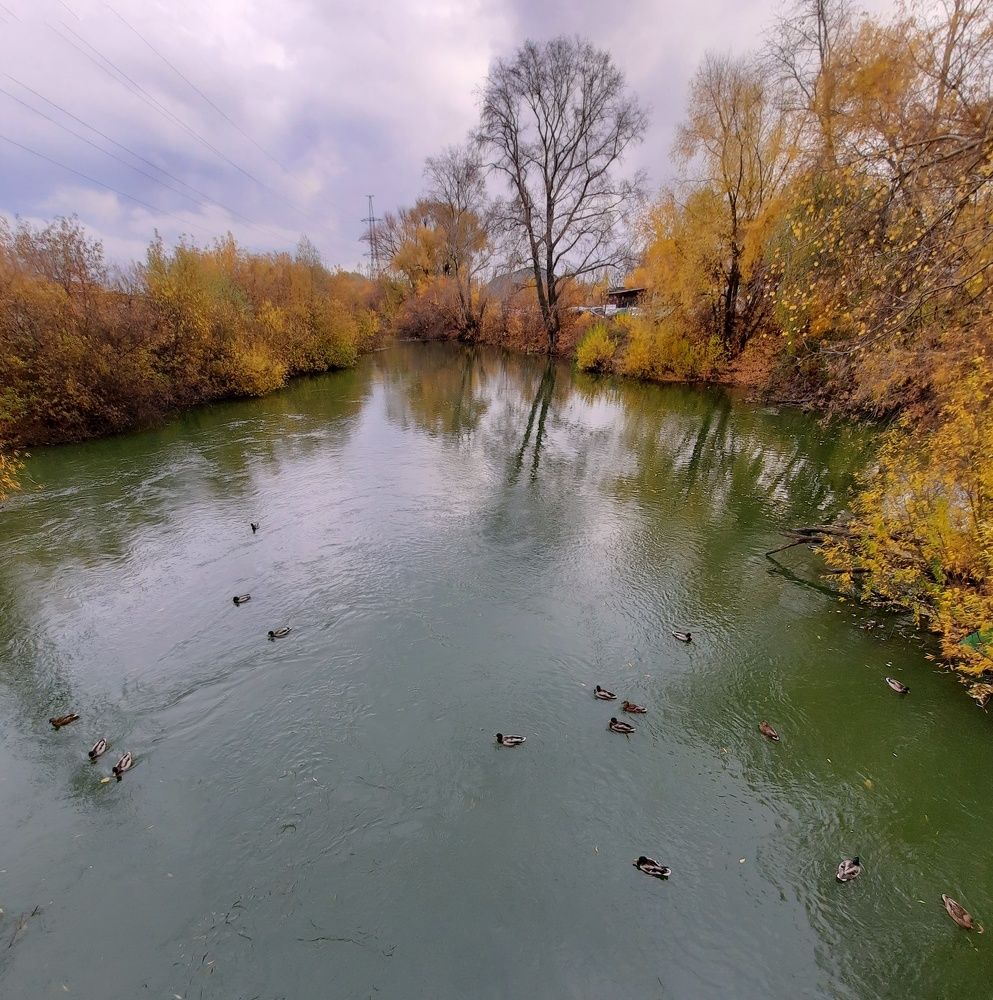 Фотография автора Ольга Кунакова