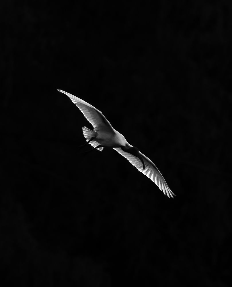 Фотография автора Anandhu M